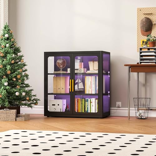 Glass Cabinet Display - ガラス扉とRGBライト付きのコレクション用ディスプレイキャビネット | 34インチのキュリオキャビネット、調節可能な棚2枚付き